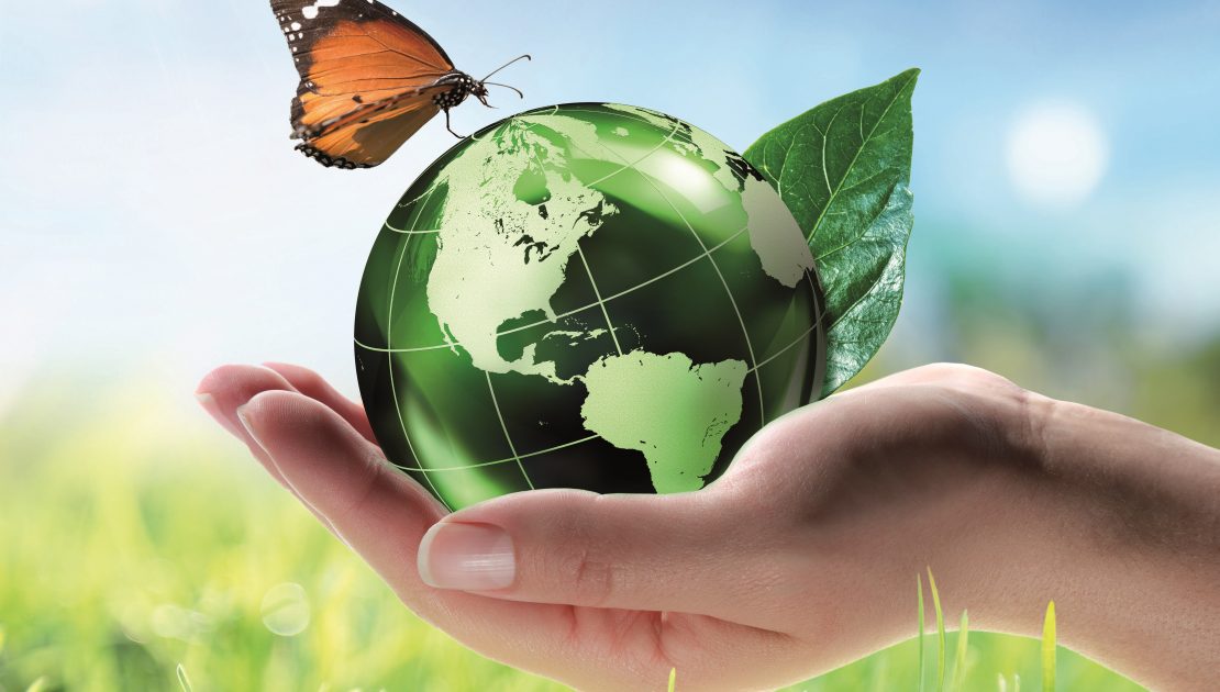 Frigosystem Eco Friendly