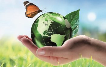 Frigosystem Eco Friendly