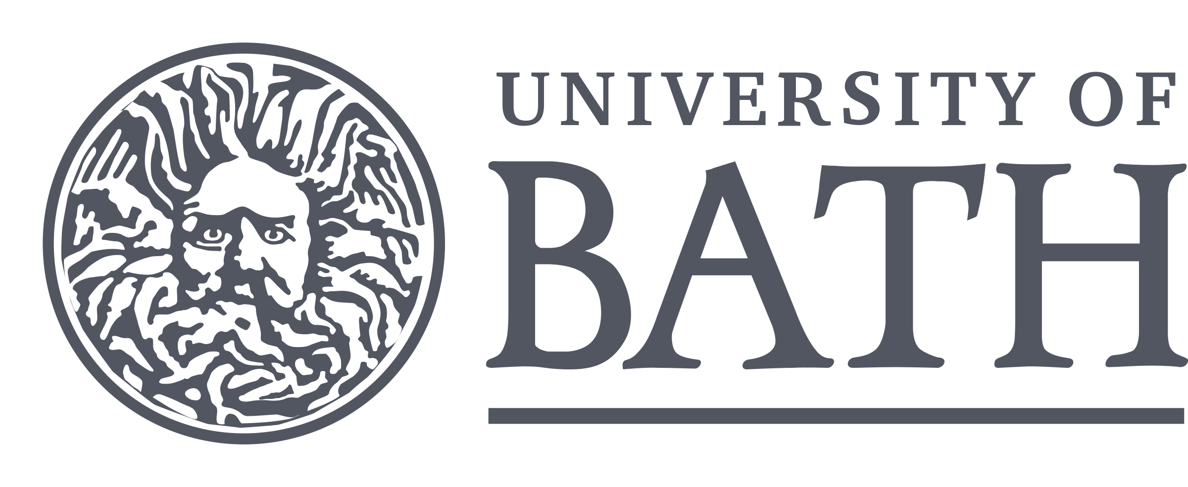 University of Bath University of Bath